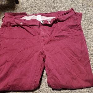 Maurices pants